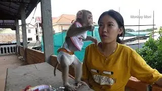 Baby Monkey Mori | Mori So Strange When Go To Up Stair Get Fresh Air