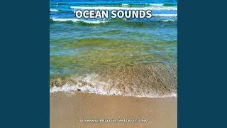 Ocean Sounds, Pt. 7