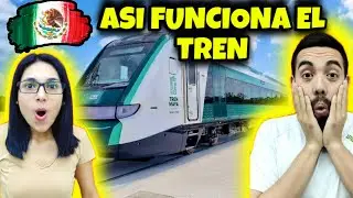ENORME PROYECTO MEXICANO empieza a mostrar c&oacute;mo funciona!