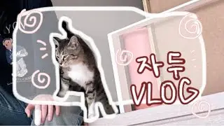 [vlog] 봄, 임자와 독립