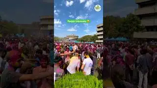 Panjab University Holi Celebration 😍 #panjabuniversity #holifestival #chandigarh