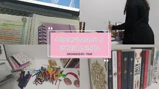 Organizando minha escrivaninha | vídeo relaxante 🌿
