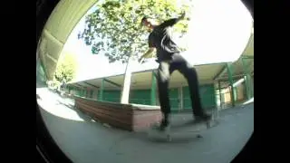 Chris Weissmann The Daily Push Throwaway Part (Woodz Skateboards)