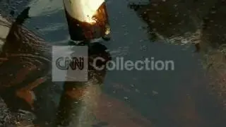 LA: OIL VACUUM CLEAN UP