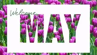 Deb's Crochet & Knit Cafe