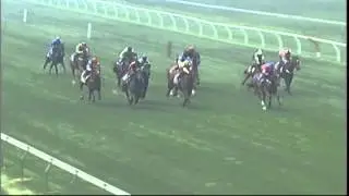 The Racing Network   Video Popout2
