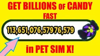 HOW TO GET CANDY FAST! in PET SIM X (Roblox)