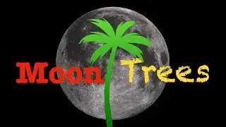 What the Heck is a Moon Tree?