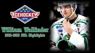 William Wallinder - 2022/2023 SHL Highlights