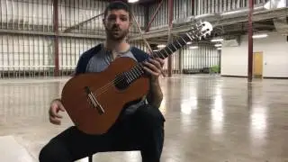 2017 Steven Walter Redwood/Brazilian Rosewood