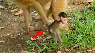 Kasara Kidnapped Baby Quinton Go Away From Mom Queen.😮😮