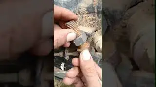 Unbelievable Moments That If Not Filmed, Nobody Would Believe.