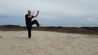 Tai Chi in Adelaide - Yang 112 Form, Section 1