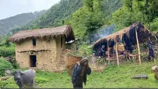 Best Nepali Mountain Village Life in Nepal | Very Relaxing Life of Himalayan Village |Nepali Village