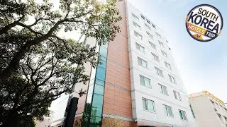 Hotel California Jeju | Jeju, South Korea | Hotel Review 🏩