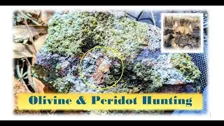 Chudleigh Station Stay Day 2 Fossicking For Peridot & Olivine #fossicking #campingaustralia