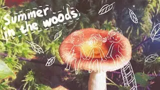 Summer in the woods, August 2017