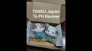 Tenso Japan proxy service delivery review