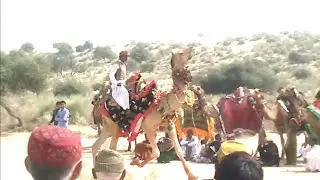 Sindhi Old Song & Tharparkar Camel rider vedio | Mon san mal yar | Ustad Gulzar Ali khan Sanghrai |