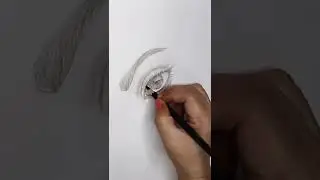 How to Draw Realistic Eyes with Charcoal Pencil