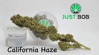 California Haze CBD - Cannabis Legal - JustBob SPA