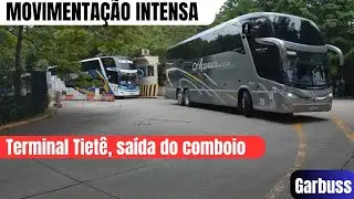 Movimentação intensa: comboio na saída do terminal Tietê SP.#Busologia #rodoviária #viagens 