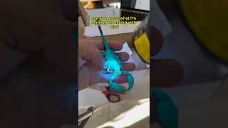Have you seen a scorpion under UV light?