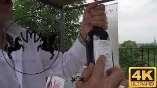 🍷Italian superior wine - FREISA DI CHIERI DOC SUPERIORE - VIGNA VILLA DELLA REGINA