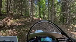 Escaping the Scorching Summer Heat in the Mountains on the Enduro Bike