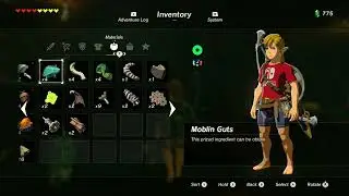 Cooking a Korok Seed