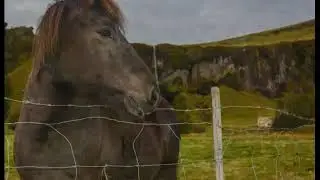 Iceland Calendar