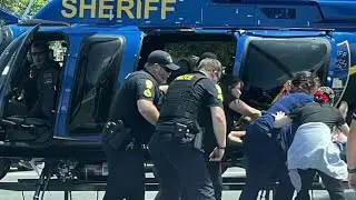 Police K-9 shot in Jacksonville, sources say