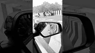 #car #action #rashdrive #animal
