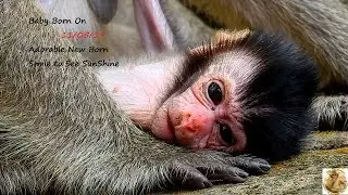 P2New Update!Congrat Mum Dana Ameri Group/Dana Have Birth Cute New Born Baby  Smile To See ShineSun