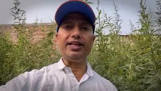 How to make your own #bestversion /Dr Kumar Shailendra 