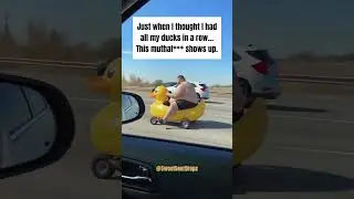 When your ducks don&rsquo;t line up&hellip; they drive off. CR:@realisticaivid Subscribe for more chaos therapy.