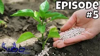 GRANULAR VS LIQUID FERTILIZER - FOOD PLOTS FOR BEGINNERS **BUDGET FRIENDLY**