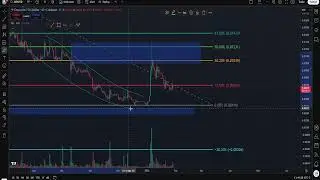 XCN OnyxCoin Price Prediction: Watch Before Its too LATE!