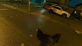 It's been a few days.. DOG WALK POV (MIC)