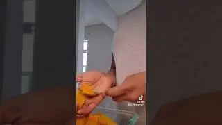 Butternut Squash puree for babies!