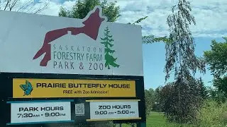 What To See Inside The Saskatoon Forestry Farm Park & Zoo | Summer 2025