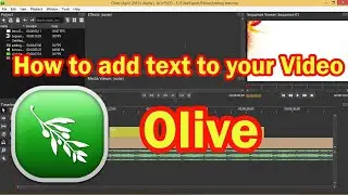 add text to your video using Olive video editor