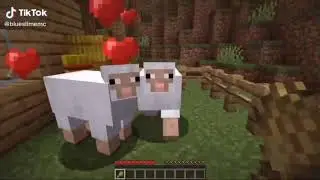 Minecraft black sheep