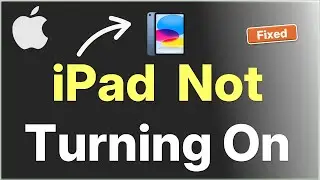 iPad Not Turning On : 100% Working Fix