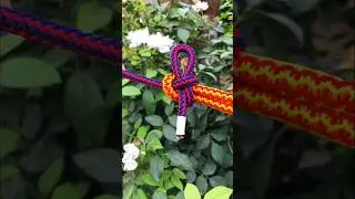 knot tutorial skills/#how #rope #shorts 👍
