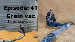 More Corn Hauling, Grain Vac, Corn, Grain Bin, Grain Bin Spill,