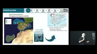 AMPLIAMAR: Telemetr&iacute;a GPS de las aves marinas en aguas espa&ntilde;olas  - Jacob Gonz&aacute;lez-Sol&iacute;s