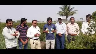 Vestige Agri Product Results | Vestige Product Results For Onion | Vestige Product