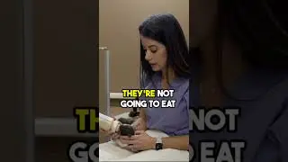 Bottle Feeding Newborn Puppies - So Cute