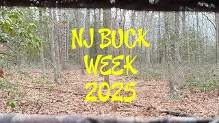 NJ Buck Week 2025: Охота на гигантского оленя с огромными рогами с винтовкой Savage 220! 🦌💥 #охот...